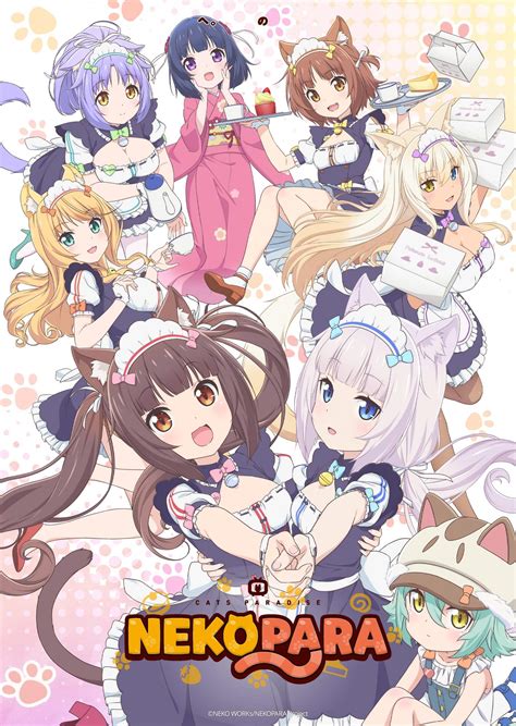 neko in anime|Watch Nekopara .